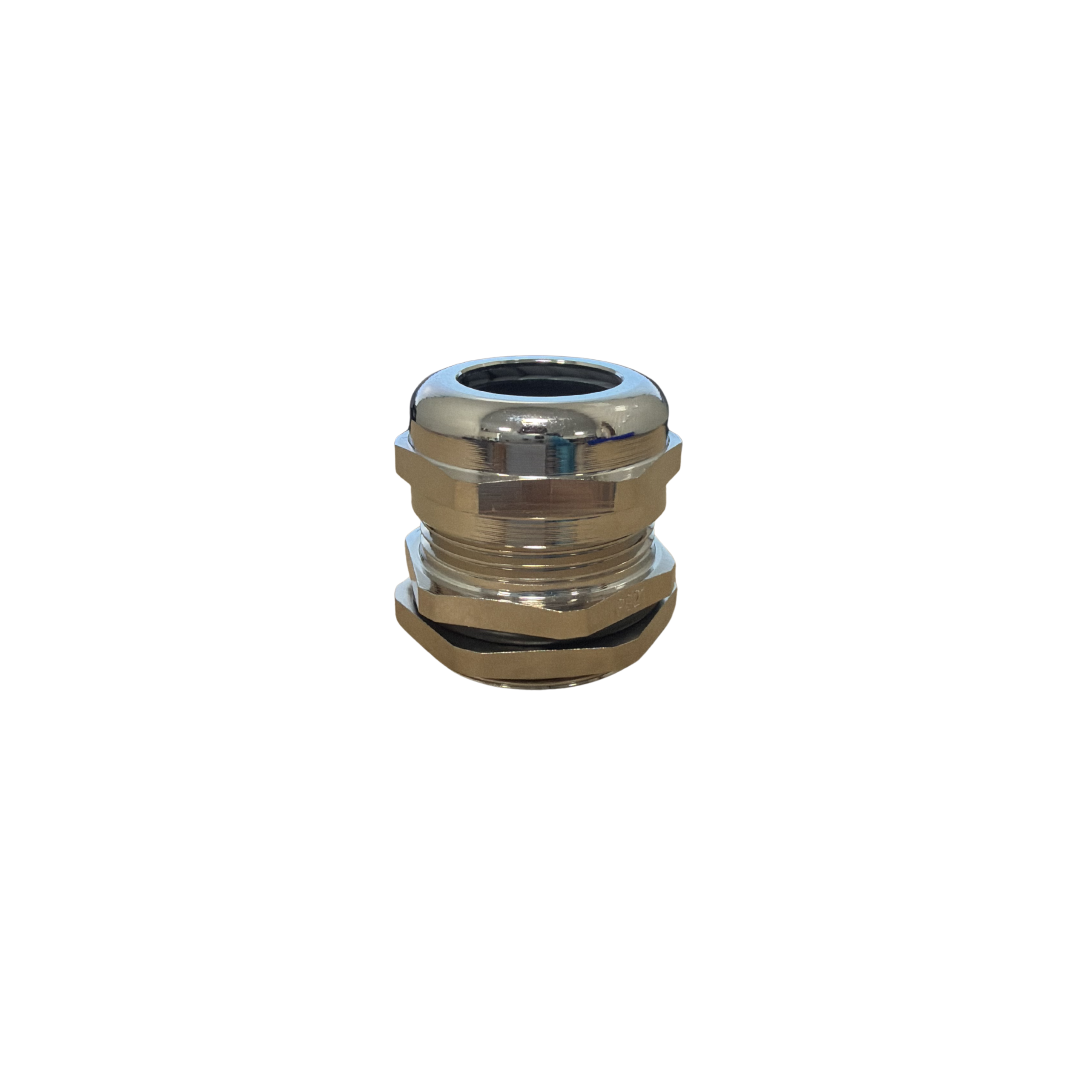 SVL-21-MS