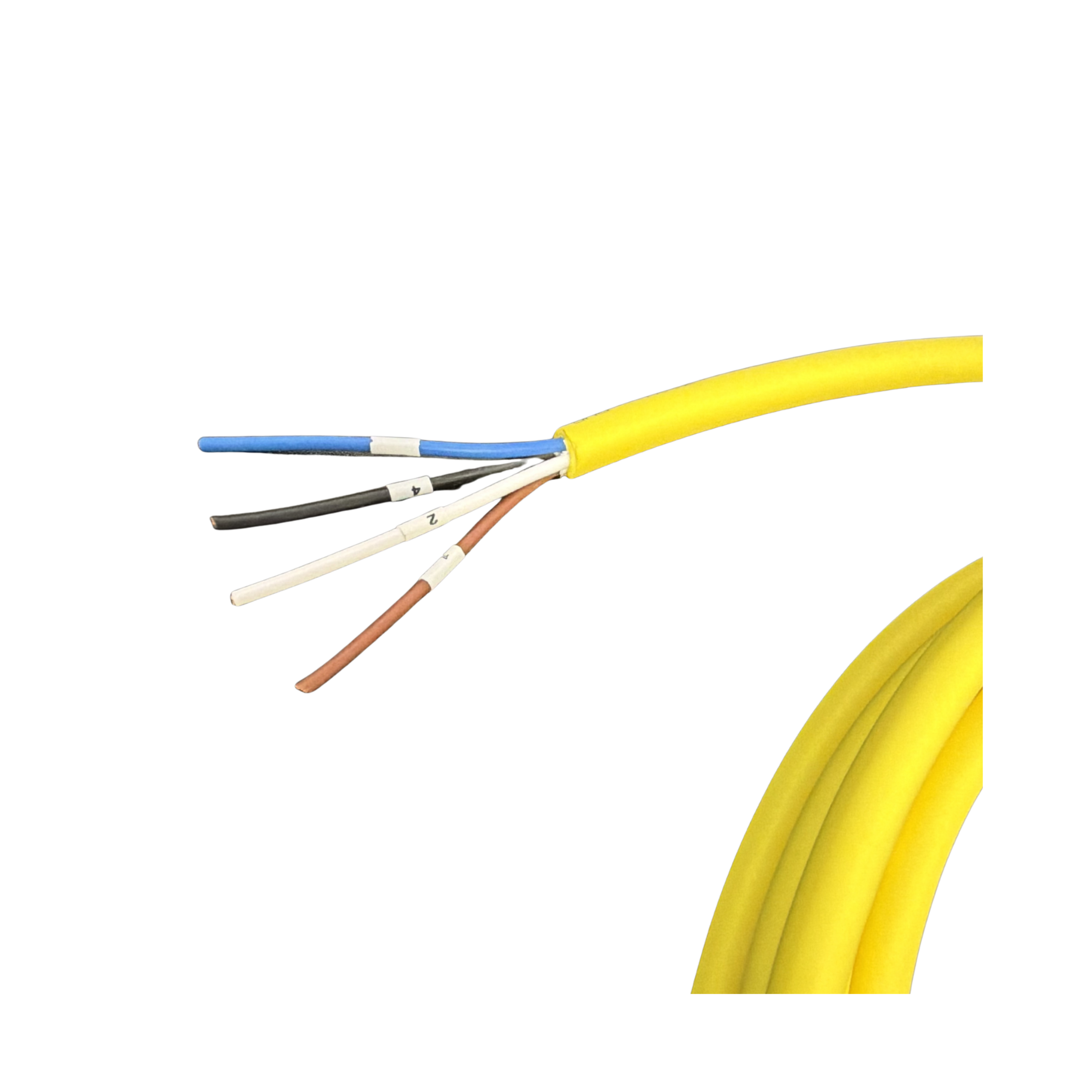 SCAC-M12S-FR-4P-PUR-YE-5.0