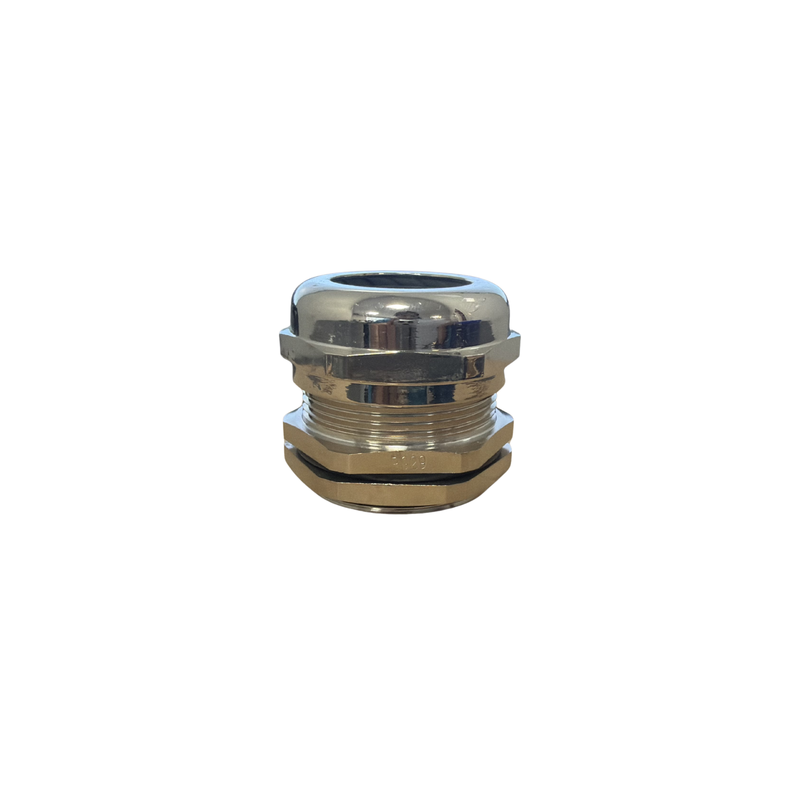 SVL-29-MS